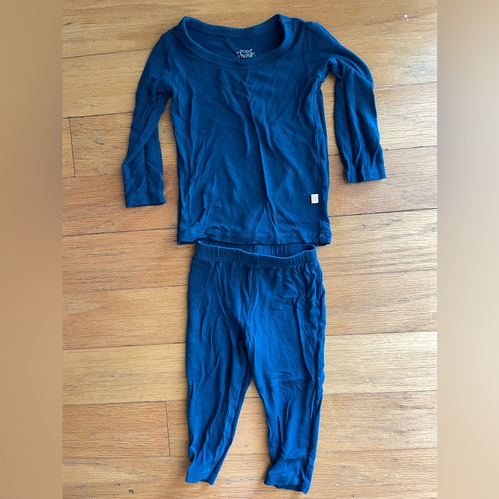 Posh Peanut Blue Long Sleeve Top and Pants Set